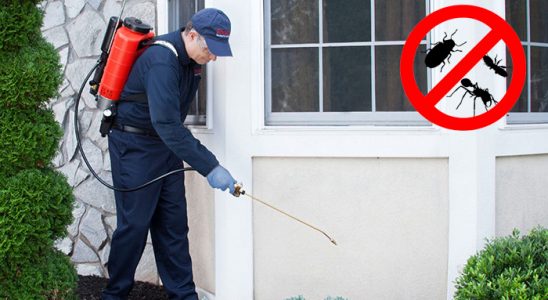 Taraklı Böcek ve Haşere İlaçlama böcek ilaçlama ve haşere kontrolü — ilaclama-tr.com